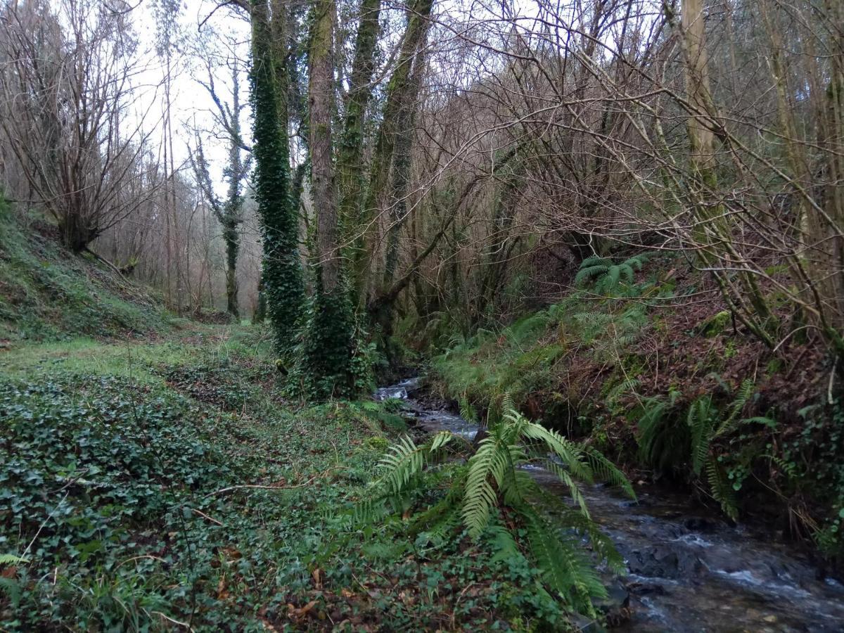 A Casa Dos Avos - Vilarino - A Coruna المظهر الخارجي الصورة